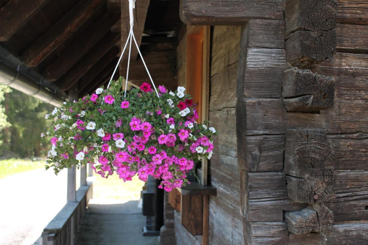 Almhuette Hebalm Villa Pack Kültér fotó