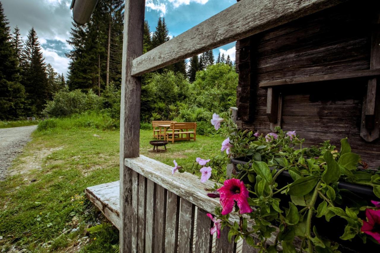 Almhuette Hebalm Villa Pack Kültér fotó